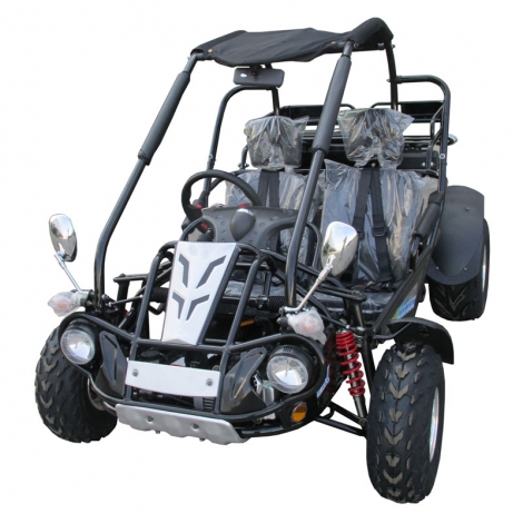 Kumsal arabası TrailMaster 300XRX