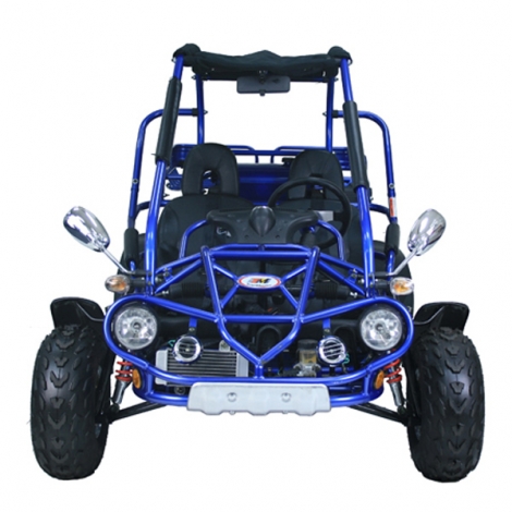 Buggy 300cc su soğutmalı