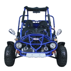 300cc Water Cooled Buggy
