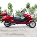 300cc gaz Scooter Trike 3 tekerlekli 