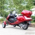 300cc gaz Scooter Trike 3 tekerlekli 