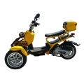 50cc 3 tekerlek gaz Scooter Trike Motorycycle 