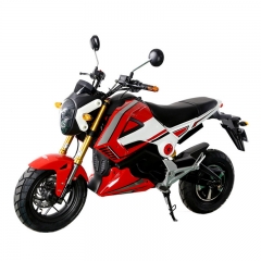 Yetişkin Electriec motosiklet 1000W