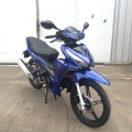 Yavru Motorcyce 125cc 17