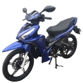 Yavru Motorcyce 125cc 17