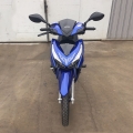 Yavru Motorcyce 125cc 17