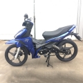 Yavru Motorcyce 125cc 17